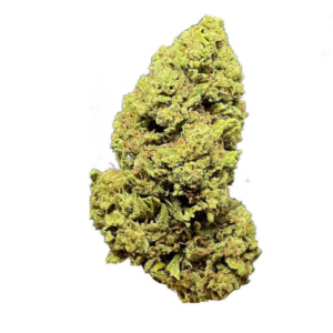 MANDARINE HYDROPONIQUE CBD